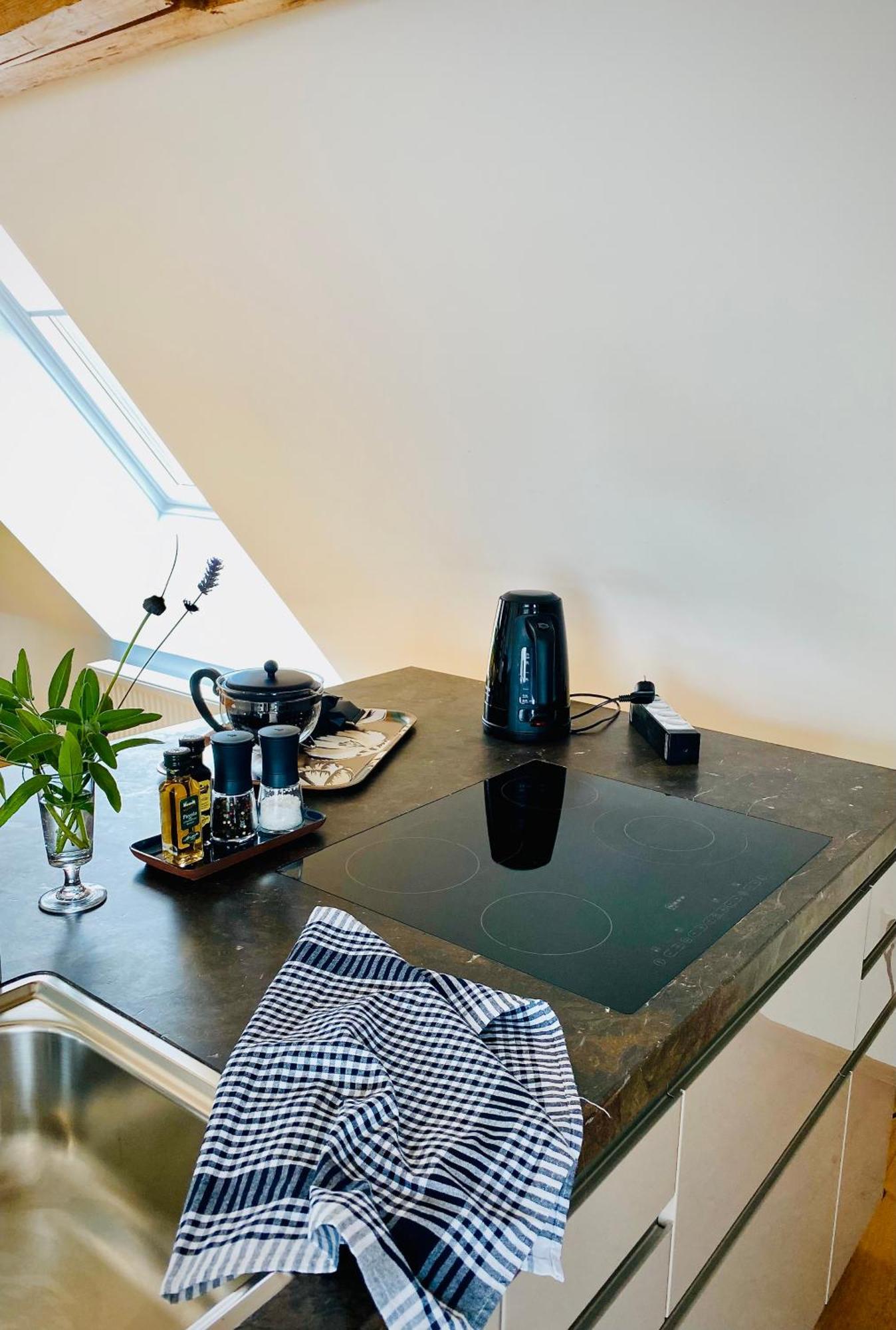 Apartment Am Schlosshof Besigheim Eksteriør bilde