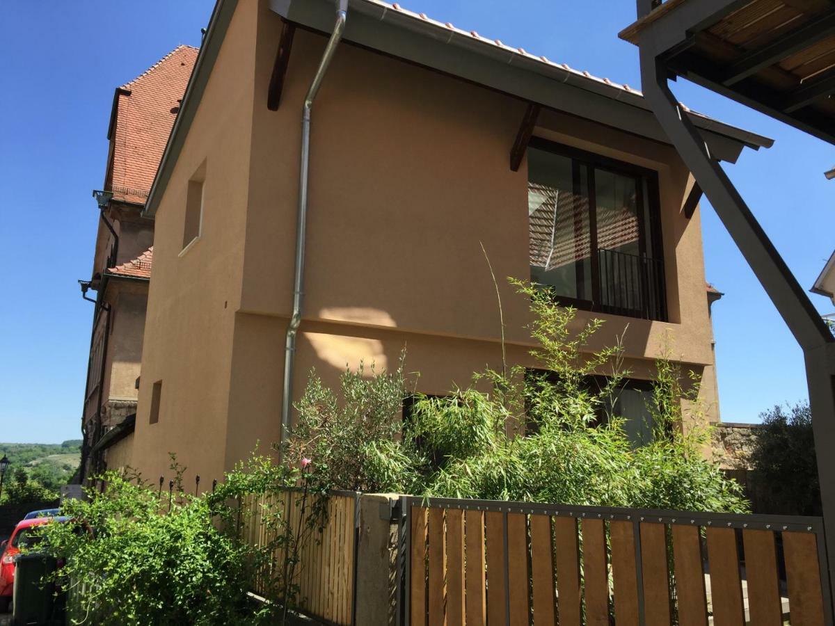Apartment Am Schlosshof Besigheim Eksteriør bilde